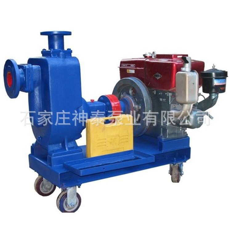 厂家直100ZX100-65型不锈钢自吸泵 家用清水自吸泵 卧式清水泵