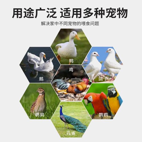 太阳能自动喂食器定时定量鸽子鸡鸭鹅狗喂料机投食器用品用具远程