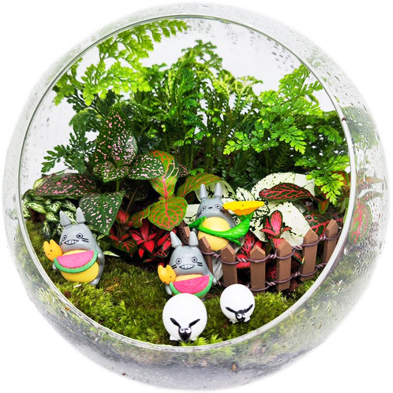 20*20微景观生态瓶成品缸盆景玻璃苔藓创意植物造景材料室内桌面