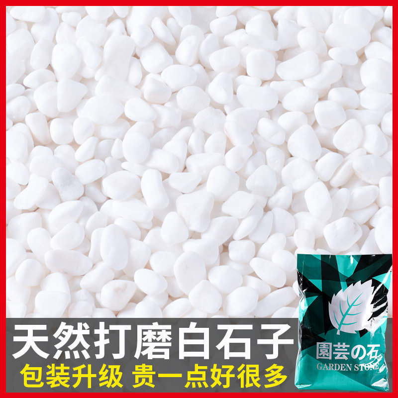 50斤白石子砾石白色鹅卵石碎石庭院铺地阳台造景花园装饰小白石头