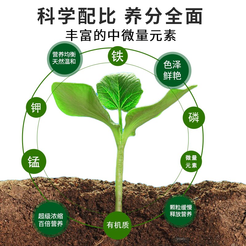 西瓜专用肥料西瓜肥料复合肥生物颗粒缓释肥有机肥料天然增甜膨果