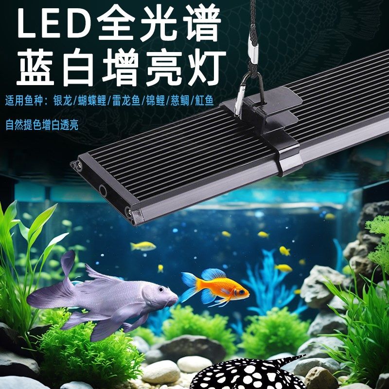 全光谱蓝白混合光银龙雷龙三湖慈鲷蝴蝶鲤专用观赏水陆两用鱼缸灯