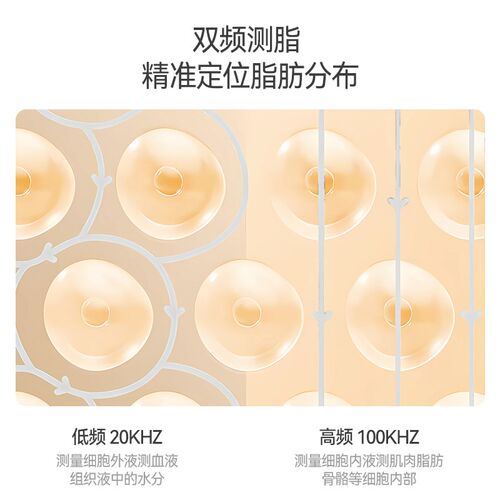 体脂智能体重秤家用精准电子秤减肥专用称重减脂小型电子秤