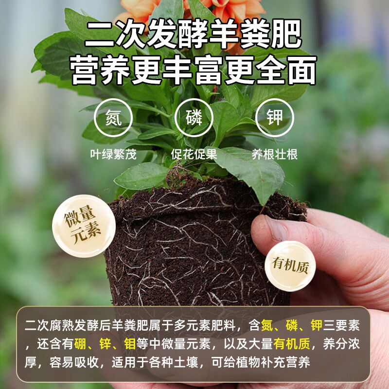 腐熟羊粪发酵有机肥料蔬菜专用花卉通用种菜农家肥羊屎粪鸡粪肥