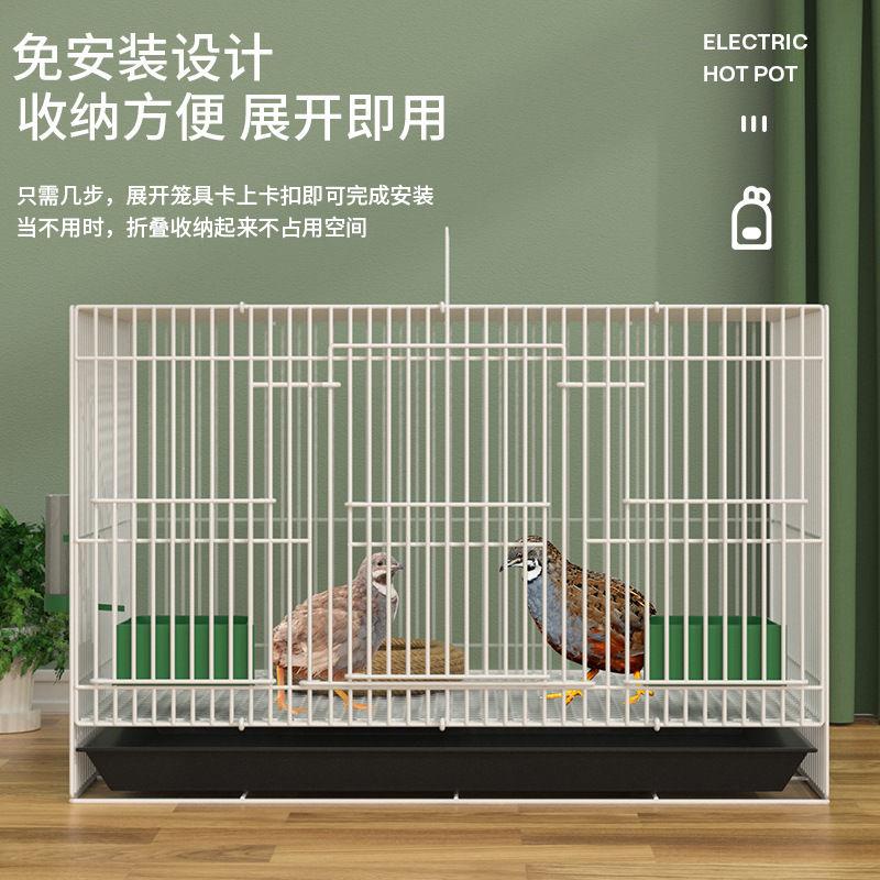 芦丁鸡专用家用鸡笼加密笼小鹌鹑养殖雏鸡宠物笼小黄柯尔鸭笼