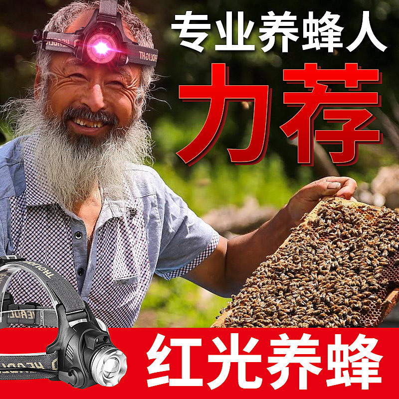 养蜂专用LED红光头灯红色强光充电远射感应头戴式超亮查蜂手电筒