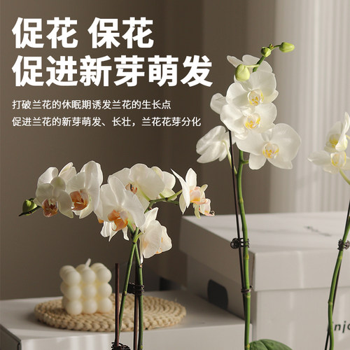 花信兰科基质伴侣牛粪肥促芽壮苗微生物有机肥完全腐熟家庭园艺肥