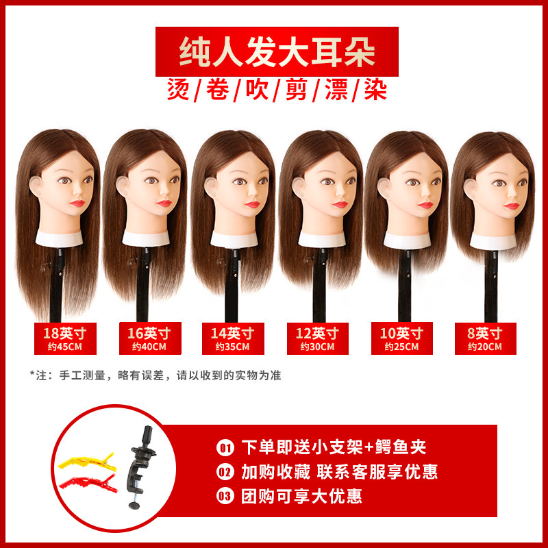 全真发大耳朵模特头学徒练习剪发假人头模美发精剪可烫卷漂染造型