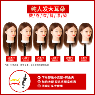 全真发大耳朵模特头学徒练习剪发假人头模美发精剪可烫卷漂染造型