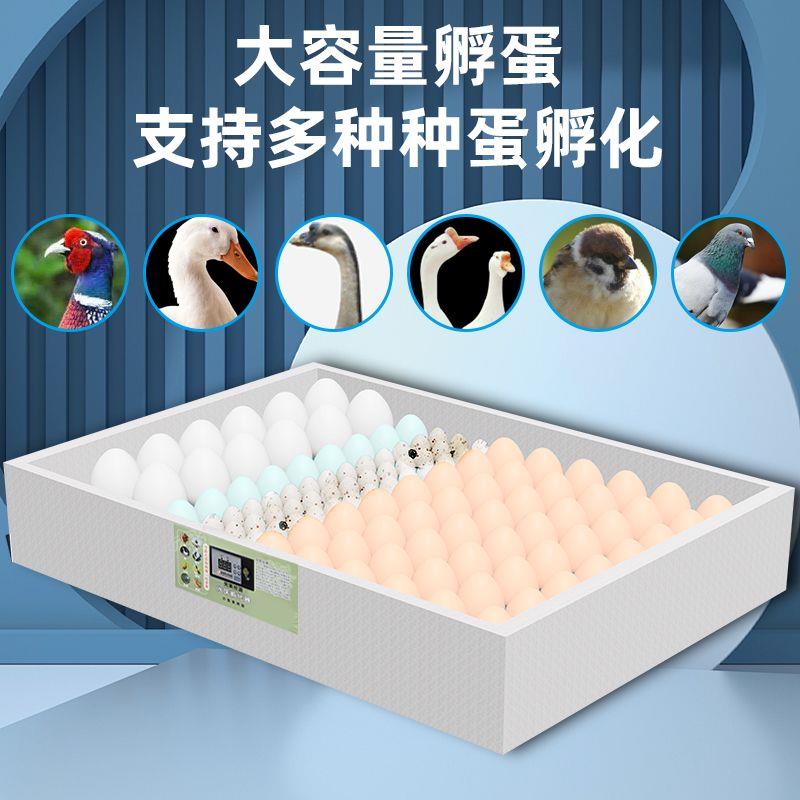 小型家中大型300水床孵化器一整套懒人鸡鹅智能恒温