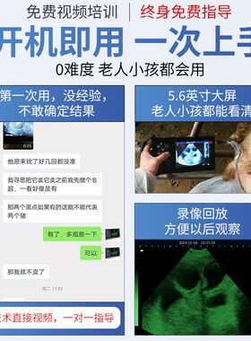 兽用B超猪用b超机探头超声测孕机无线猪牛羊便携式母猪测孕背膘仪