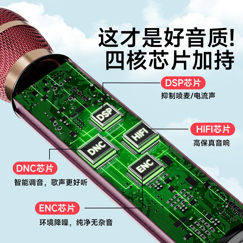 无线蓝牙话筒音响一体麦克风家用家庭k歌儿童卡拉ok唱歌2025新款