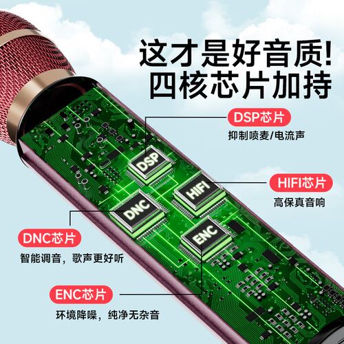无线蓝牙话筒音响一体麦克风家用家庭k歌儿童卡拉ok唱歌2025新款