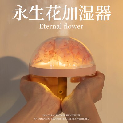 加湿器办公室桌面加湿器家用静音冬季卧室儿童迷你小型便携式充电