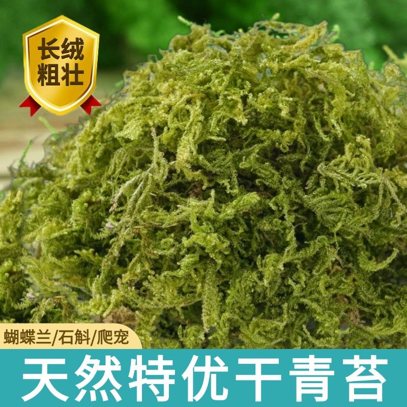青苔水苔蝴蝶兰专用土天然干苔藓兰花营养土石斛兰植料盆栽种植土