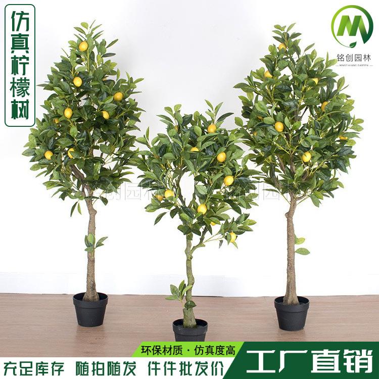 仿真柠檬树绿植盆栽 仿真橘子树盆景 室内装饰大型假绿植盆景