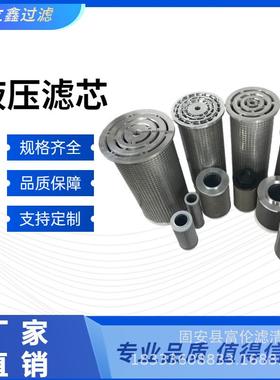 稀油站十字并联汽轮机润滑油滤芯LY15/25W滤网25vm油滤器滤清器