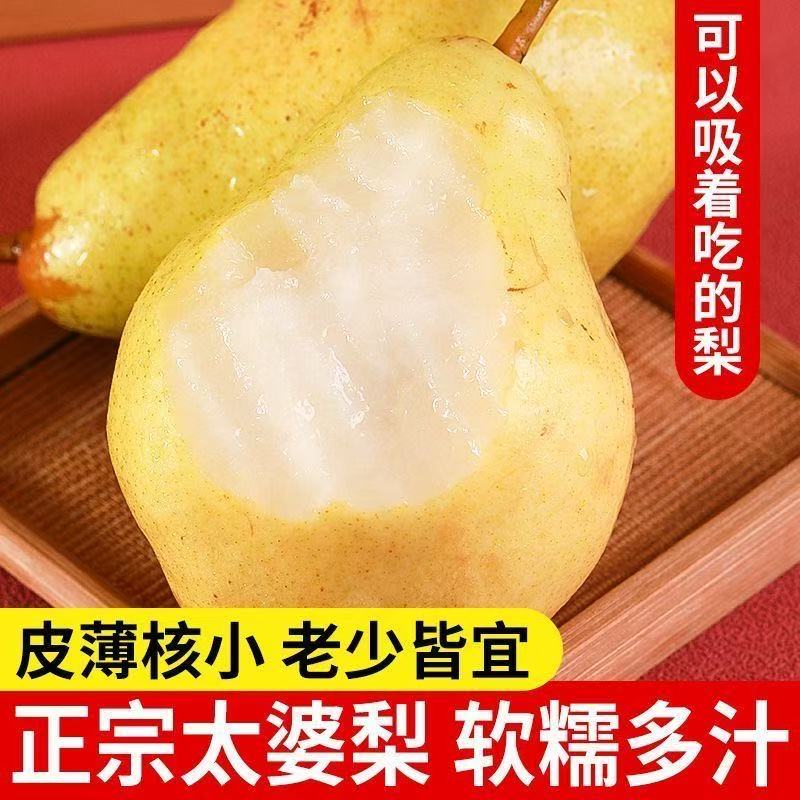 正宗太婆梨烟台太婆梨新鲜梨子梨梨