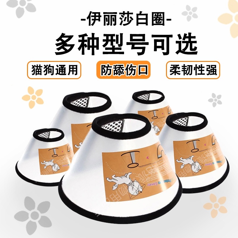 伊丽莎白圈宠物头套猫咪防咬头套狗脖套宠物防咬打针圈皮肤病头罩