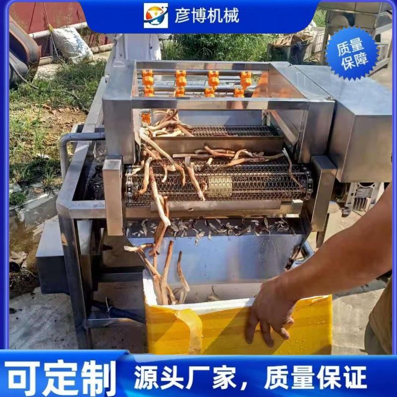 白2021211菜气泡清机叶菜类桑叶高压气泡清洗机地骨 清皮洗洗机