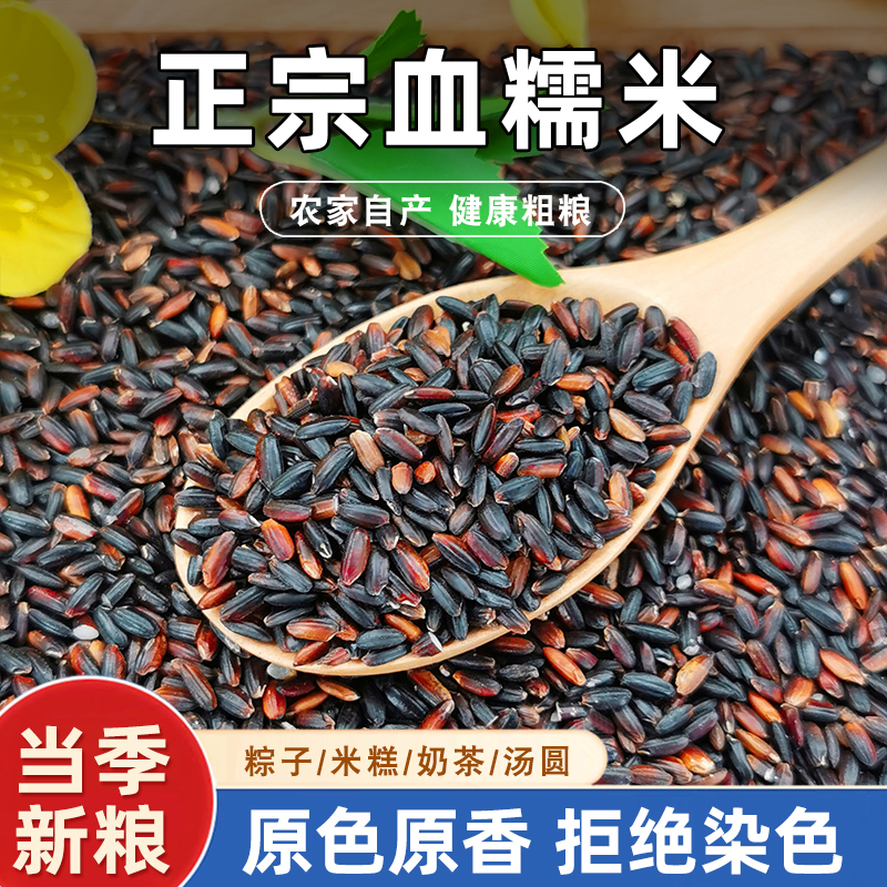 正宗血糯米新米五谷杂粮黑香糯米黏米包粽子饭团酿酒农家粗粮500g