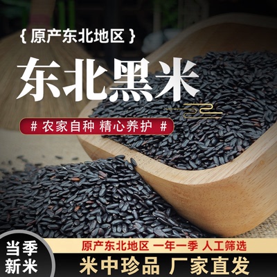 东北黑米当季新粮农家自产黑香米五谷杂粮粥健康粗粮大米