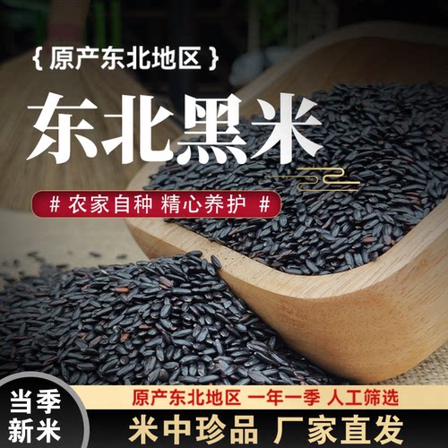 东北黑米当季新粮农家自产黑香米五谷杂粮粥健康粗粮大米