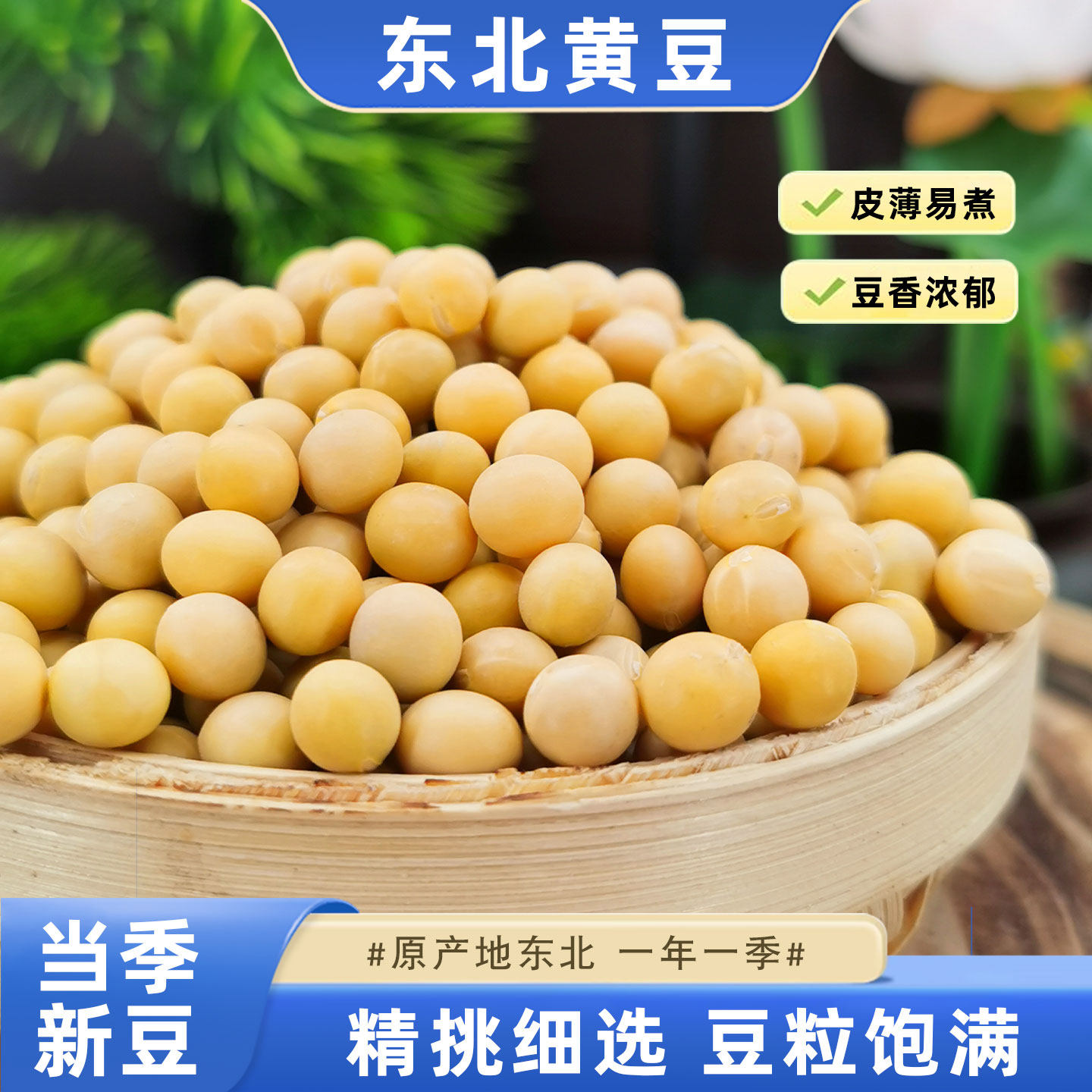 东北大豆新货非转基因农家自种粗粮打豆浆专用土黄豆五谷杂粮250g