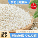 长粒糯米农家新糯米白江米小包白糯米包粽子大米汤圆泰糯米长粒香