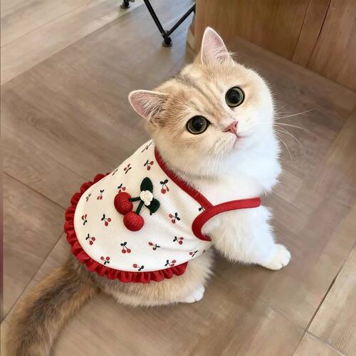 猫咪衣服春装可爱樱桃吊带连衣裙