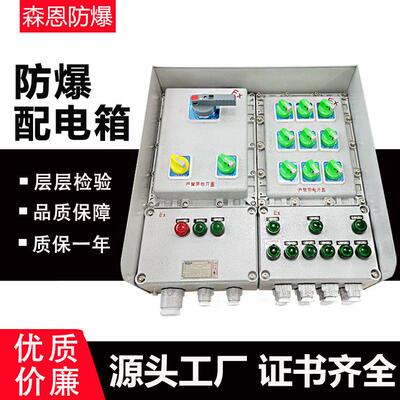 防爆配电箱照明动力仪表接线箱控制检修电源插座箱不锈钢配电柜
