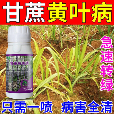 甘蔗专用药甘蔗专用杀菌剂凤梨赤腐黑穗梢腐红壳根腐褐斑锈病全治