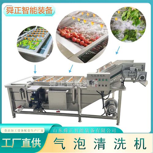 气泡清洗机 大型蔬菜水果高压喷淋清洗线 全自动净菜加工设备