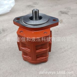 管路抓举车油泵  多种规格 运行稳定 易保养