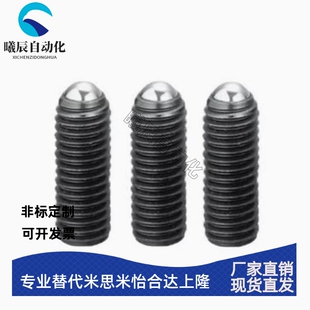 11.2 31.2 16.8 26.2 21.2 13.2 25.8 20.8 10.8 锁紧螺栓RSM6