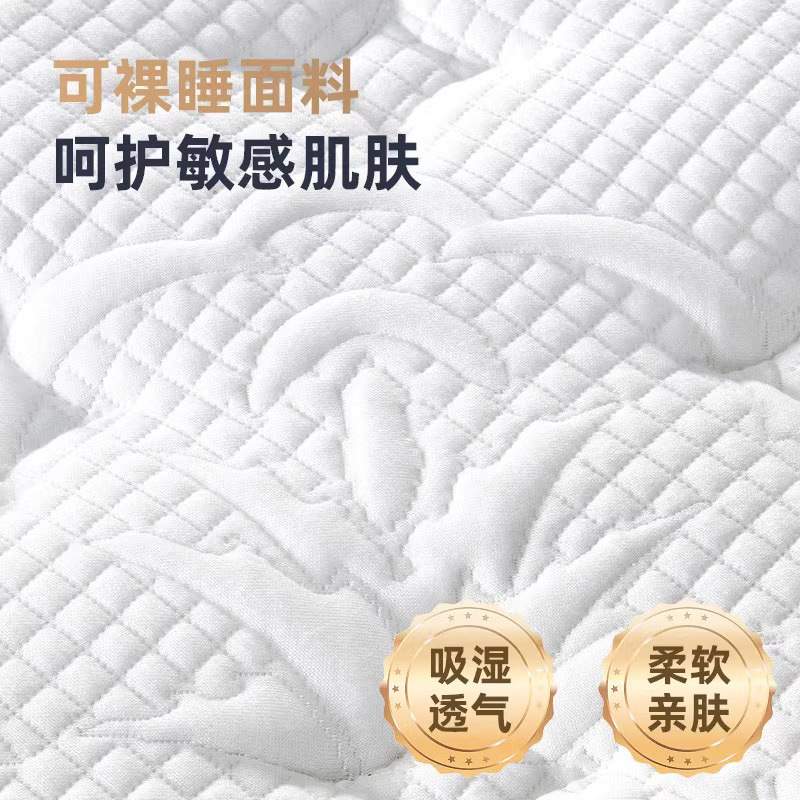 席梦思弹簧床垫20cm加厚家用软硬两用椰棕硬垫乳胶软垫租房经济型