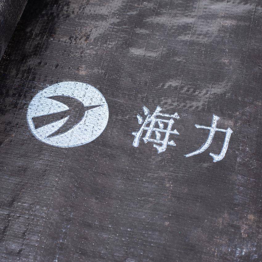 海力牌250克防渗布加厚水产养殖防渗土工布高位池HDPE防渗膜