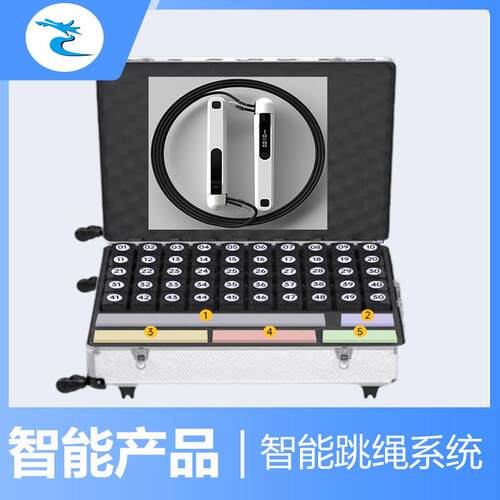 中小学智能跳绳训练比赛体测系统体测设备教学教务多人团队跳绳