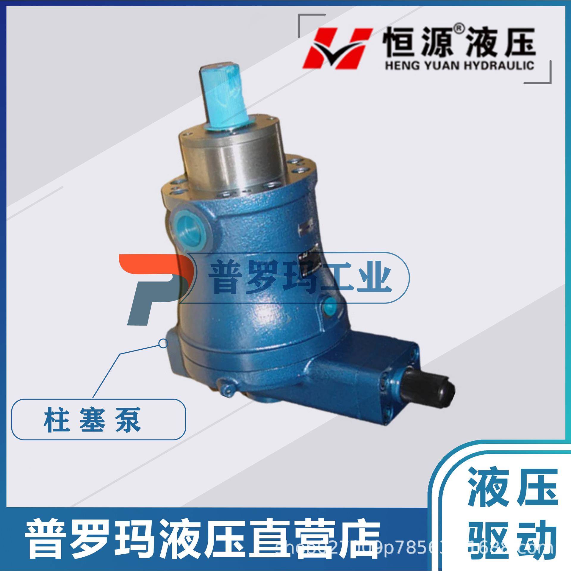 2.5Y5Y10Y25Y63Y80Y160Y14-1B轴向柱塞泵