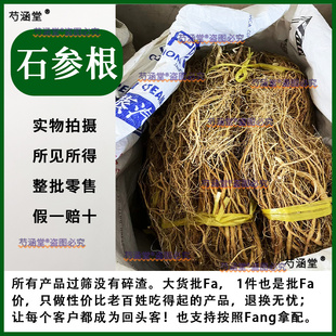 中药材石参根，布狗尾，土狗尾，长穗猫尾草根部，不是狸尾草的根