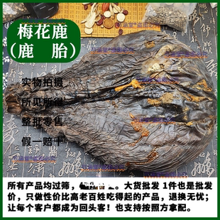 梅花鹿整只干鹿胎鹿胎盘胎衣整个可代打粉梅花鹿/马鹿完整整个