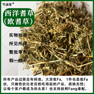 中药材欧蓍草500g包邮飞天蜈蚣草千叶草正品无硫中草药西洋欧蓍草