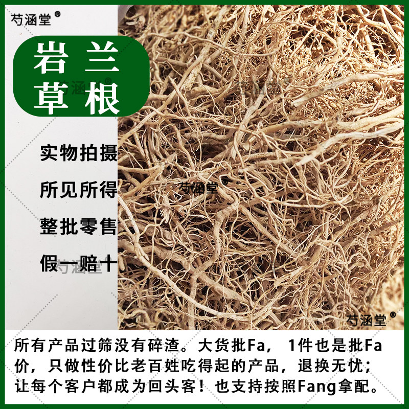 岩兰草 岩兰草根 干岩兰草晒干岩兰草兰岩草做纯露精油中药材大全