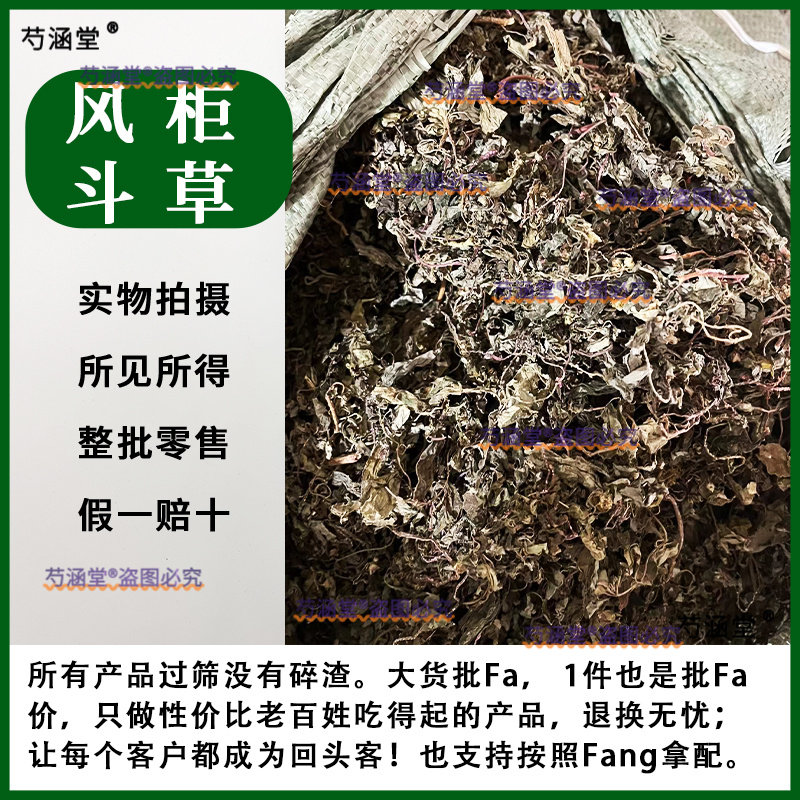 风柜斗草野生中药材批发产地福建风鼓草干货风谷草楮头红风骨草