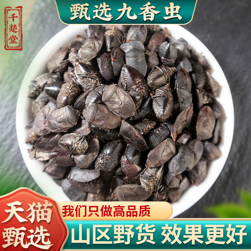 九香虫中药材 野生九香虫 500g克包邮正品打屁虫屁巴虫臭壳子虫