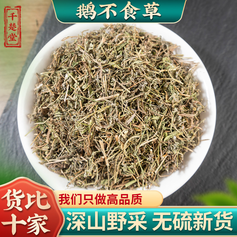 鹅不食草中药材鹅不吃草野生新货末鹅不食草粉饿不食草500g/100g