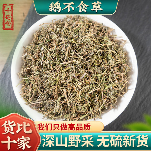 鹅不食草中药材鹅不吃草野生新货末鹅不食草粉饿不食草500g/100g