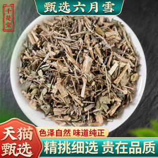 六月雪草药500克 野生六月雪中药材 满天星碎叶冬青白马骨中草药