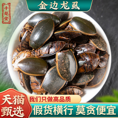 金边龙虱中药材大龙虱100g克包邮 黄缘龙虱精品干品 水鳖虫射尿龟