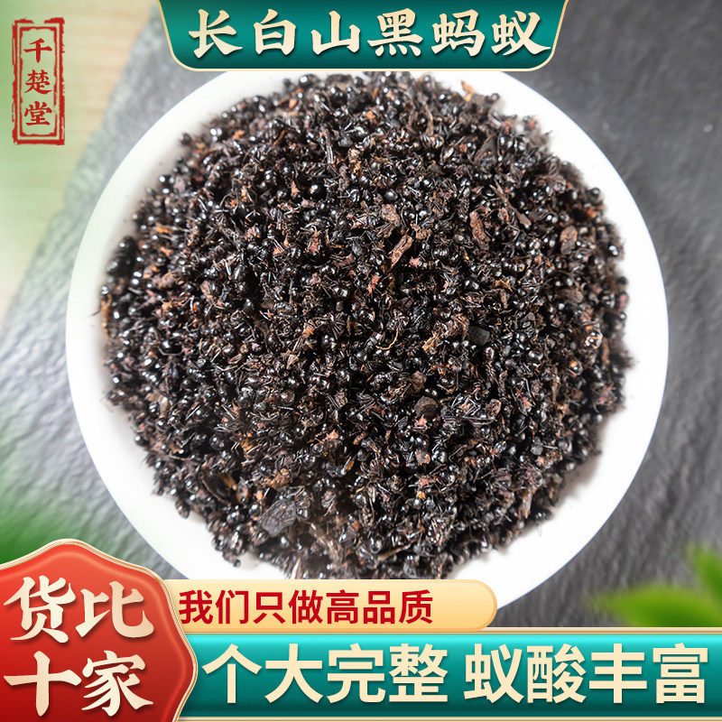 千楚堂黑蚂蚁中药材500克野生大黑蚂蚁干可泡酒长白山山蚁可打粉